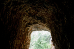 DSC02340